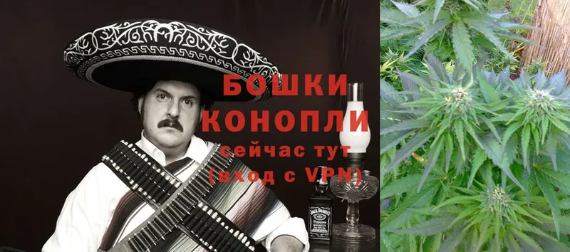 Бошки марихуана OG Kush  Валдай 